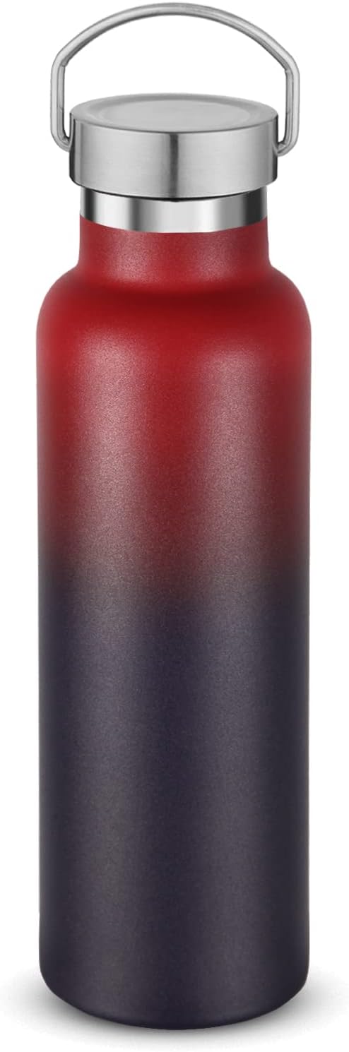 Neihepal Gradient Stainless Steel Water Bottles,20 Ounce Vacuum Insulated Double Wall Travel Bottle with Leak Proof Lid of Handle,Metal Reusable Standard Mouth Flask Thermoses for School,Hikers,Gift