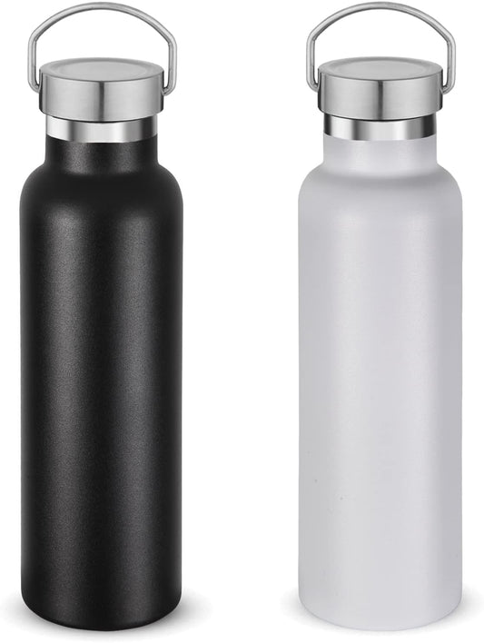 Neihepal 20 oz Insulated Water Bottles Bulk 2 Pack,Stainless Steel Double Wall Sport Bottle with Lid of Handle,Metal Reusable Thermoses Flask for School,Cyclists,Hikers,Gift (Mix,Set of 2)