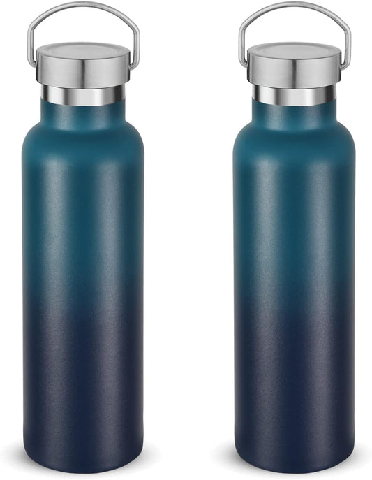 Neihepal 20 oz Insulated Water Bottles Bulk 2 Pack,Stainless Steel Double Wall Sport Bottle with Lid of Handle,Metal Reusable Thermoses Flask for School,Cyclists,Hikers,Gift (Dark Night,Set of 2)