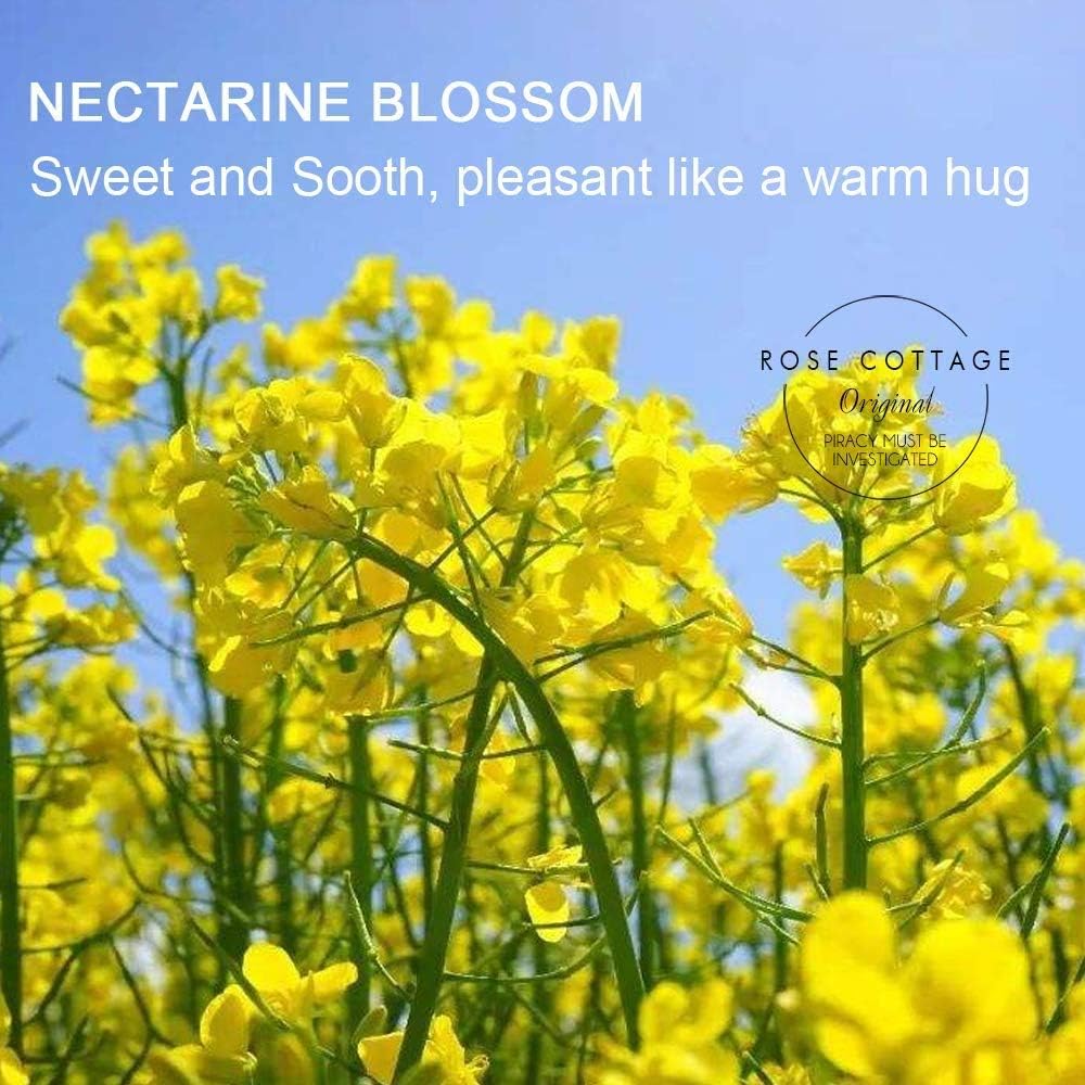 ROSE COTTAGE Large 12 Packs Apricot Blossom Hanging Closet Air Freshener Scented Sachets Long Lasting Smell Goods