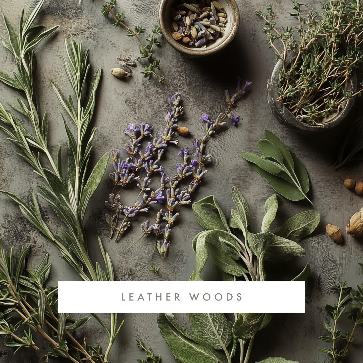 ScentAir Whisper Home Monthly Plug-in Refill, Fragrance Cartridge for Home and Office, Amazon Exclusive, Leather Woods