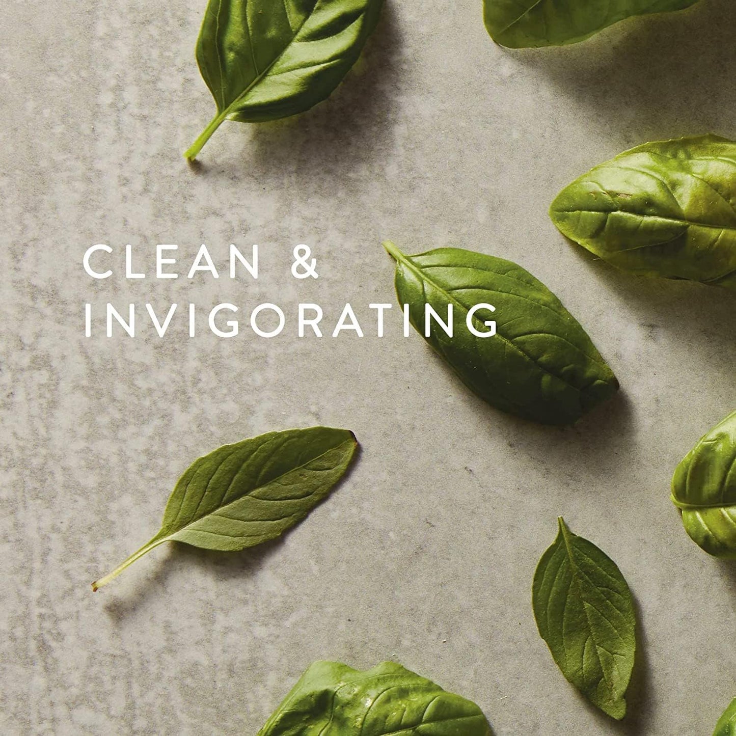 Thymes Reed Diffuser Oil - Fresh-Cut Basil - 7.75 Fl Oz